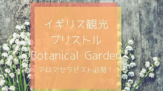 イギリス ブリストル観光bristol Botanical Garden 自由に生きたいアラサー女子のブログ